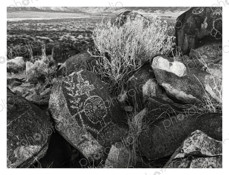Three Rivers Petroglyph Site, Three Rivers, New Mexico, USA
