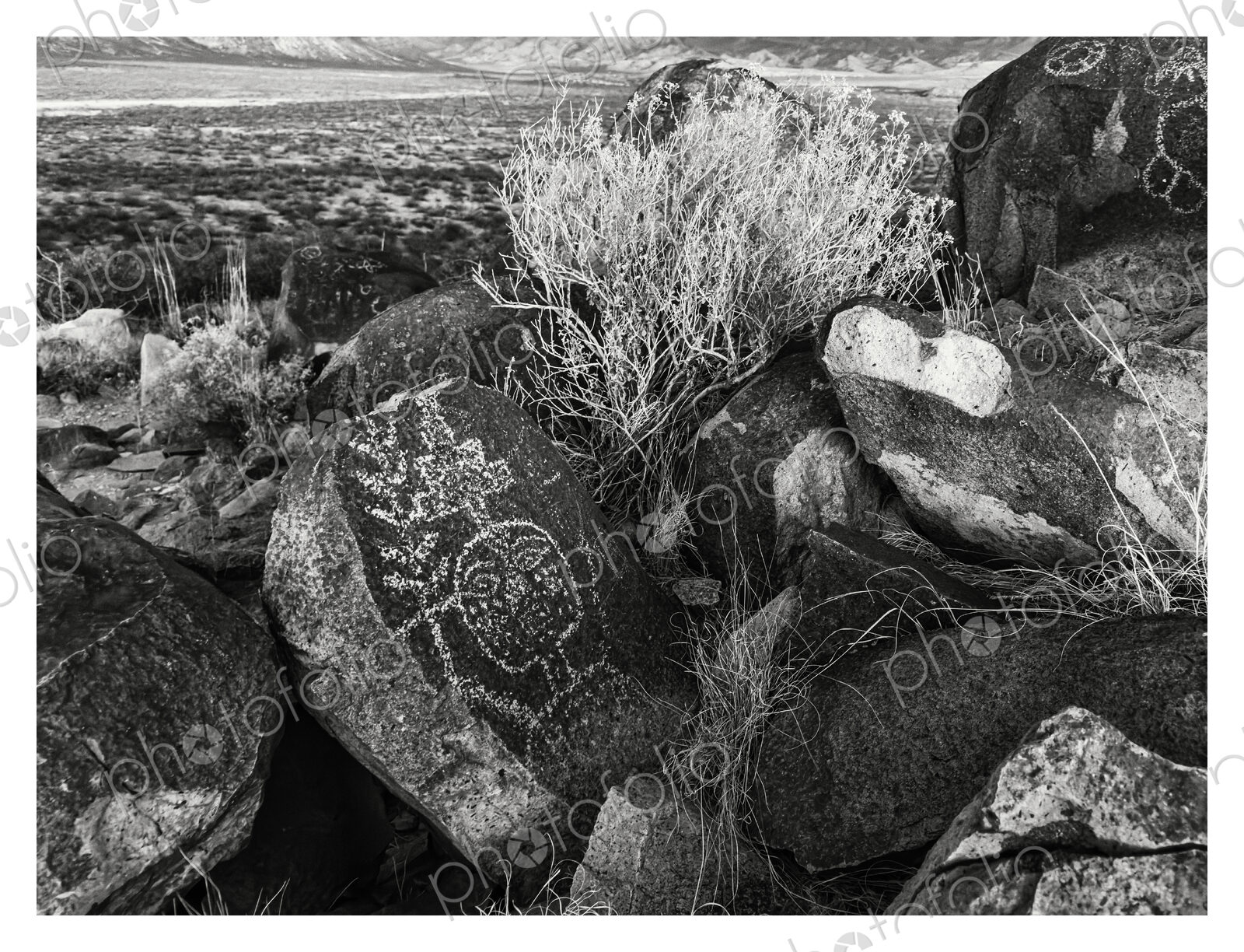 Three Rivers Petroglyph Site, Three Rivers, New Mexico, USA