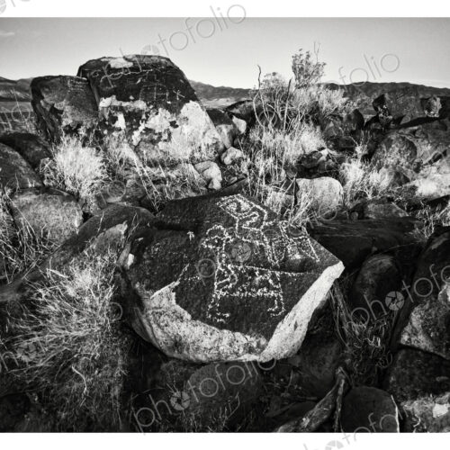 Three Rivers Petroglyph Site, a petroglyph with a hunting scene