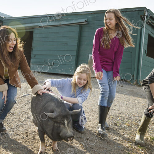 Three children and a young woman with a large pig, in the pigpen at an animal sanctuary. Three children and a young woman with a large pig, in the pigpen at an animal sanctuary.