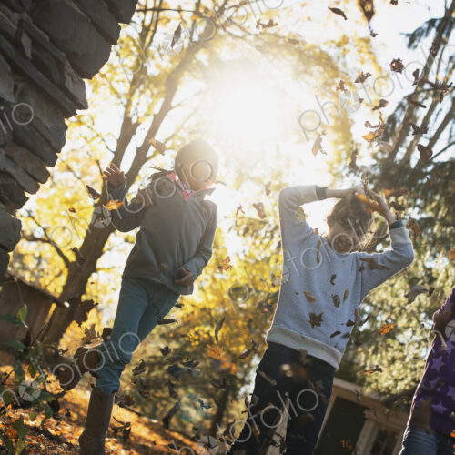Three children in the autumn sunshine. Playing outdoors throwing the fallen leaves in… Three children in the autumn sunshine. Playing outdoors throwing the fallen leaves in…