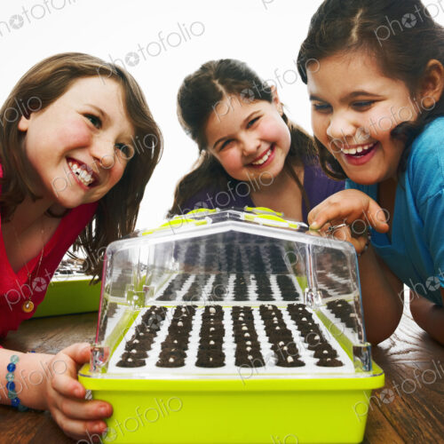 Three children leaning excitedly over a freshly planted seed tray with a cover on a table. Three children leaning excitedly over a freshly planted seed tray with a cover on a table.