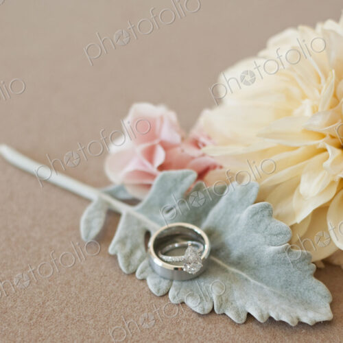 Three decorative accessories for a wedding. Flowers and a leaf shape. A finger ring. Three decorative accessories for a wedding. Flowers and a leaf shape. A finger ring.