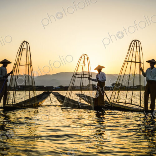 Three fishermen fishing on Lake Inles using traditional cone shape fishing nets.