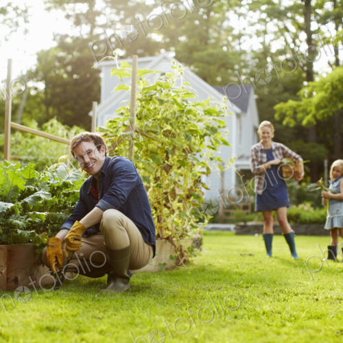 Three people, two adults and a child in a vegetable garden. Three people, two adults and a child in a vegetable garden.