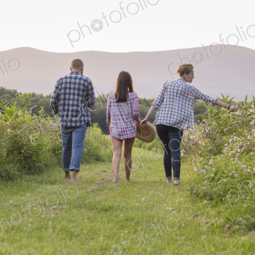 Three people walking on a mown path in a meadow
