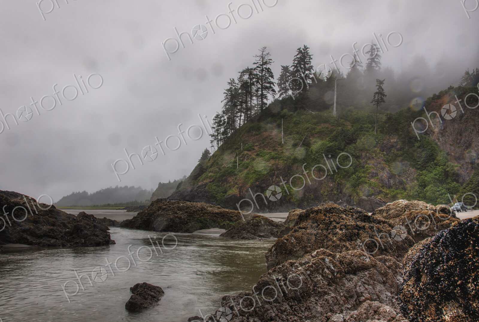 Tide pools in cloudy rural landscape.