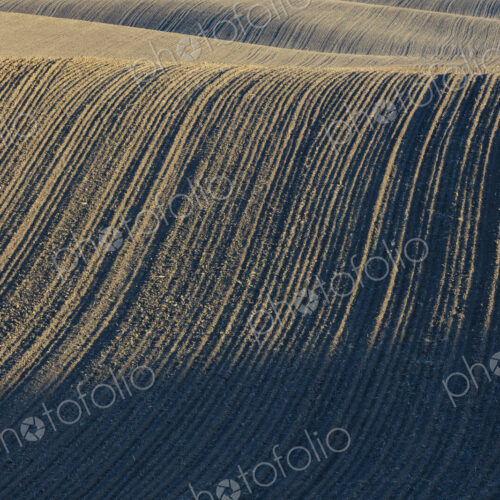 Tilled farmland and rolling hills Tilled farmland and rolling hills