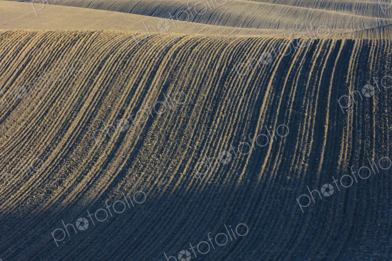 Tilled farmland and rolling hills