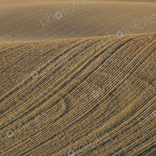 Tilled farmland and rolling hills Tilled farmland and rolling hills