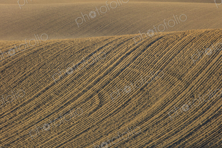 Tilled farmland and rolling hills