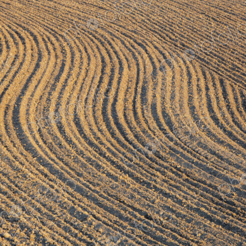Tilled farmland and rolling hills Tilled farmland and rolling hills