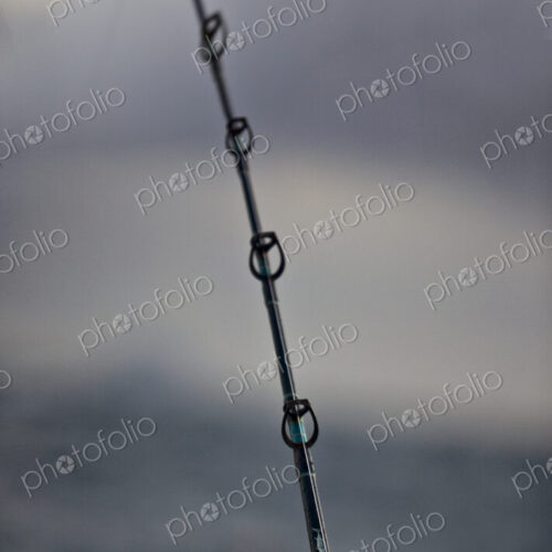 Tip Of Fishing Pole Tip Of Fishing Pole
