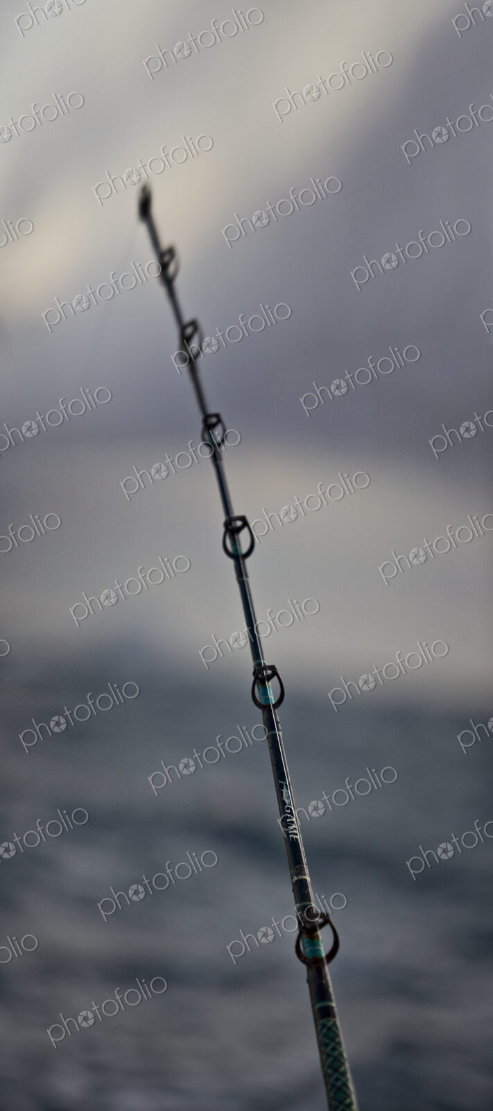 Tip Of Fishing Pole