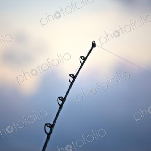 Tip Of Fishing Pole Tip Of Fishing Pole