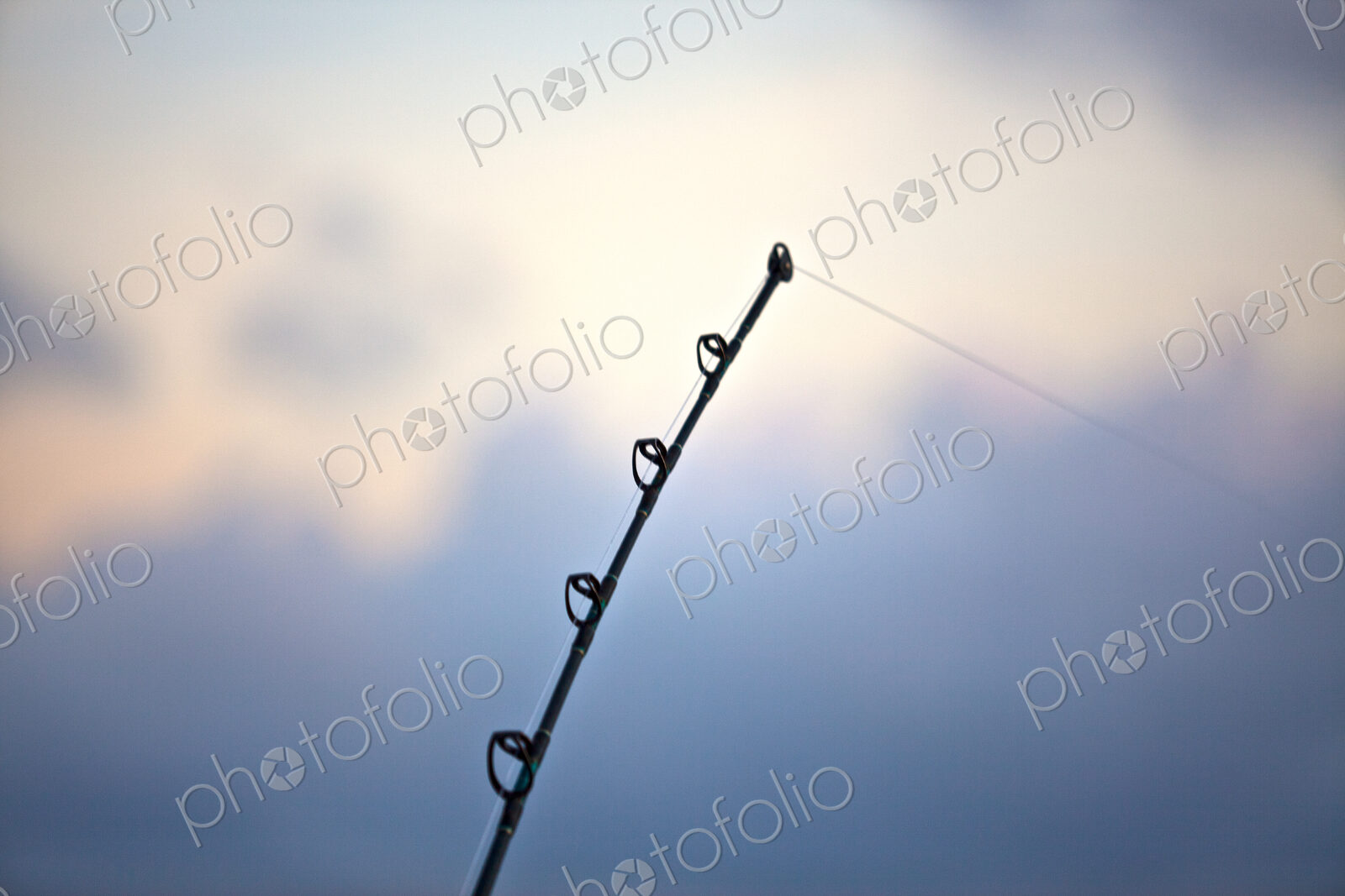 Tip Of Fishing Pole