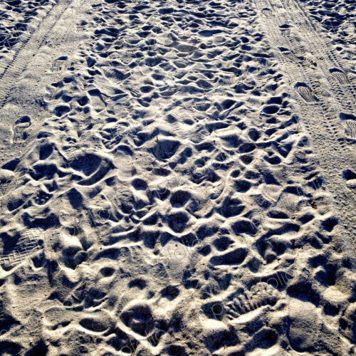 Tire Tracks and Footprints in the Sand Tire Tracks and Footprints in the Sand