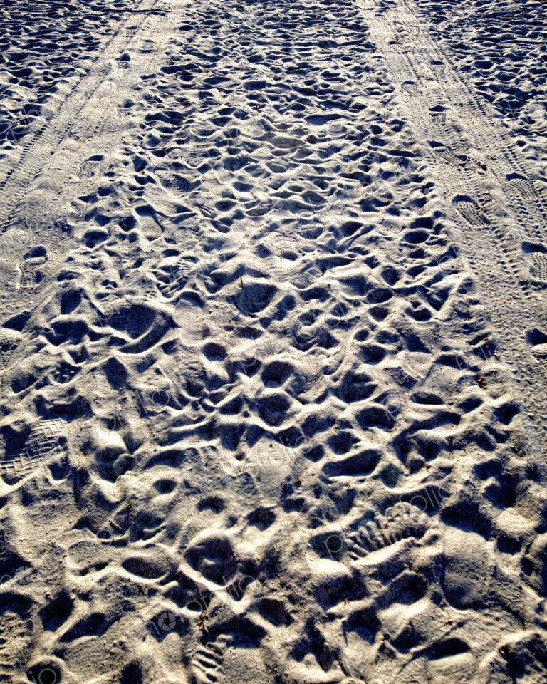 Tire Tracks and Footprints in the Sand