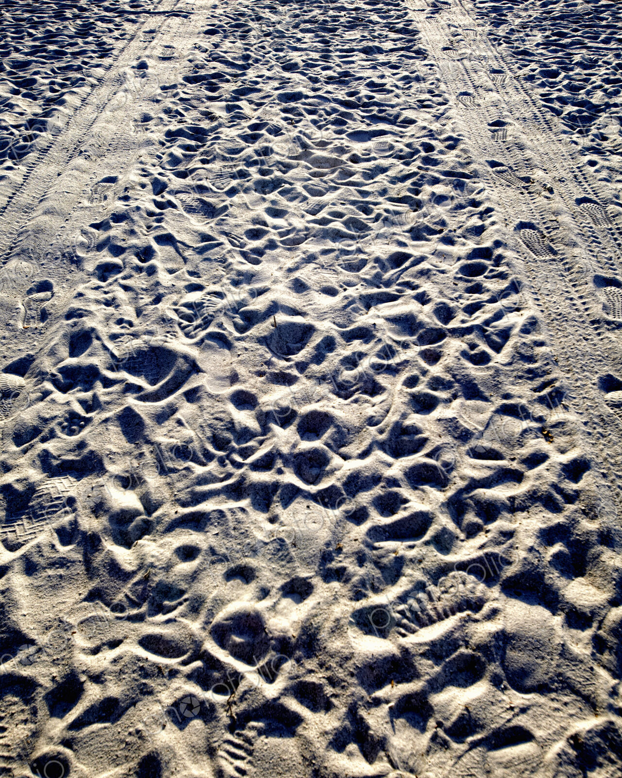 Tire Tracks and Footprints in the Sand