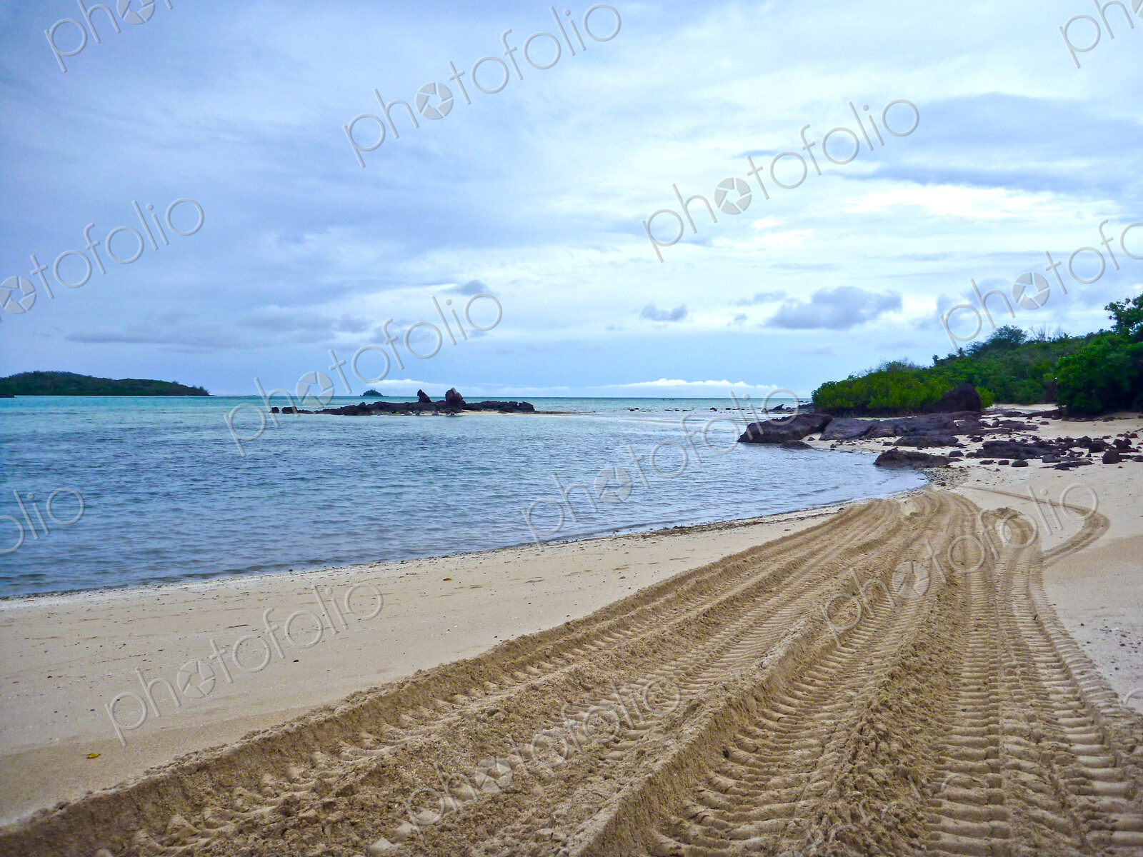 Tire Tracks on the Beach