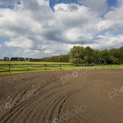 Tire tracks in riding ring on horse farm Tire tracks in riding ring on horse farm