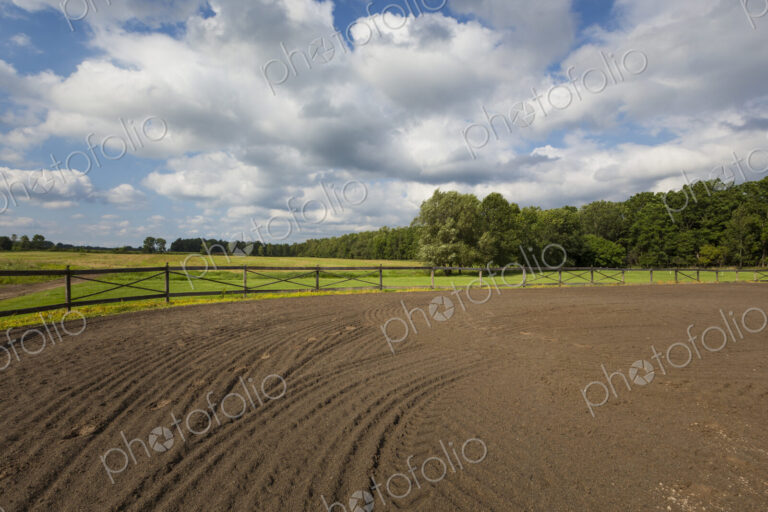Tire tracks in riding ring on horse farm