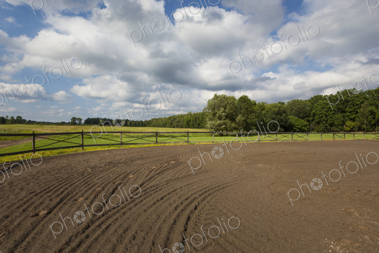 Tire tracks in riding ring on horse farm