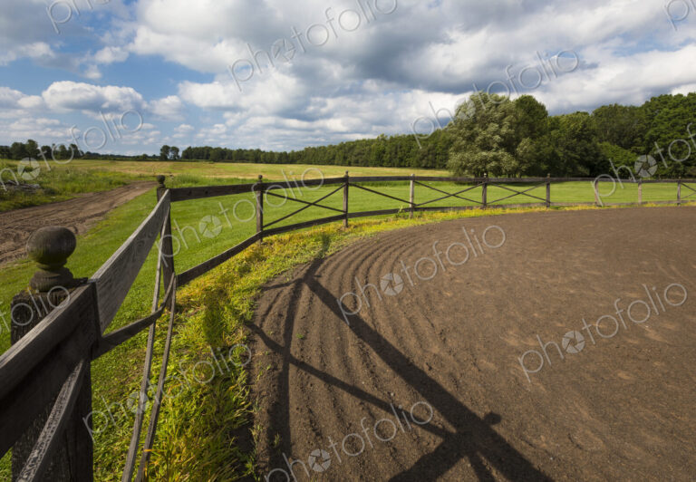 Tire tracks in riding ring on horse farm