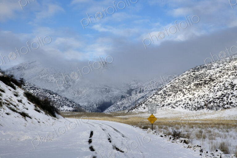 Tire tracks on a snowy back road up a track in the Methow Valley in Washington State.