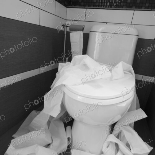 Toilet Paper Strewn in a Bathroom Toilet Paper Strewn in a Bathroom