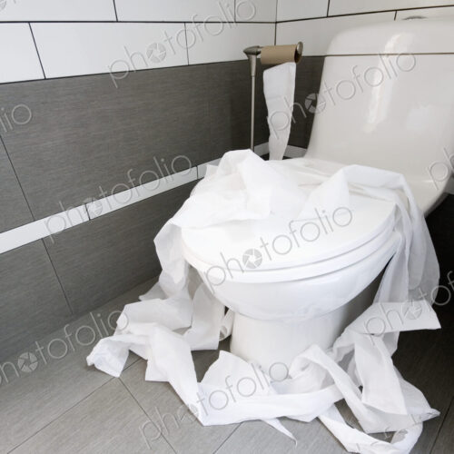 Toilet Paper Strewn in a Bathroom Toilet Paper Strewn in a Bathroom