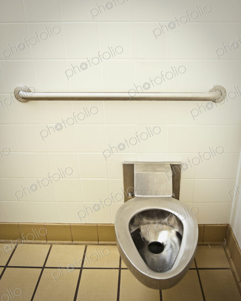 Toilet in a Public Restroom