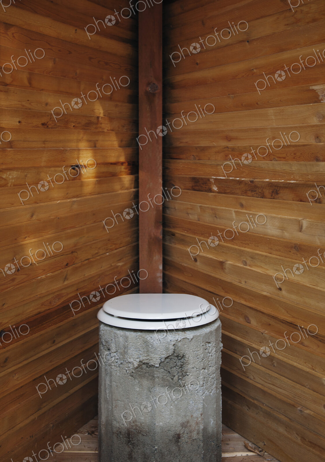 Toilet in wooden stall