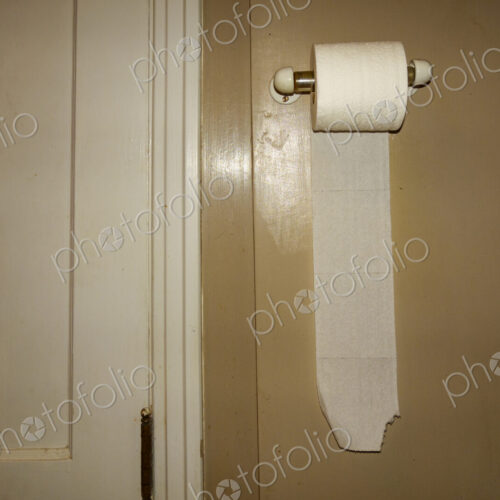 Toilet roll holder with new roll of toilet paper.