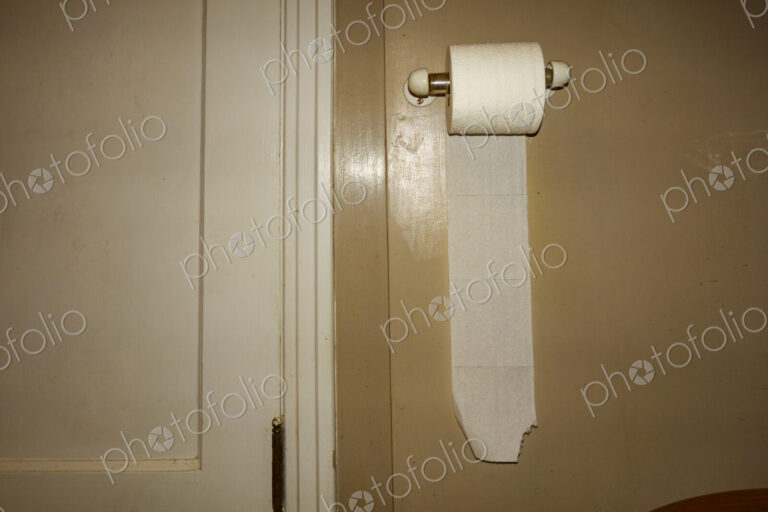 Toilet roll holder with new roll of toilet paper.