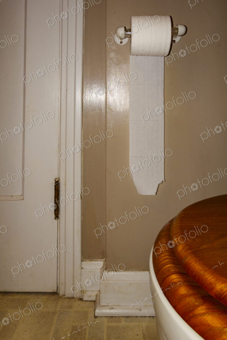 Toilet roll holder with new roll of toilet paper.