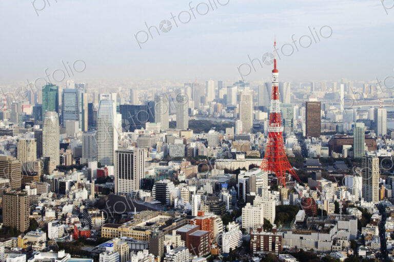 Tokyo Skyline