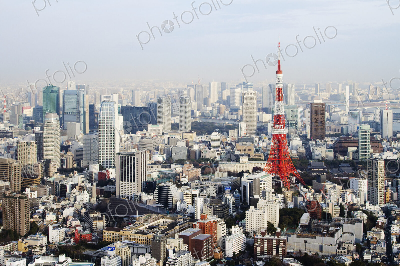 Tokyo Skyline