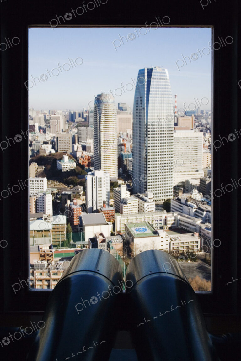 Tokyo Skyline From Tokyo Tower