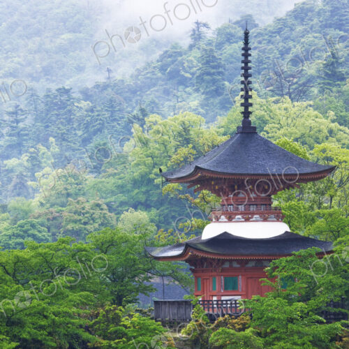 Top of a Pagoda Top of a Pagoda