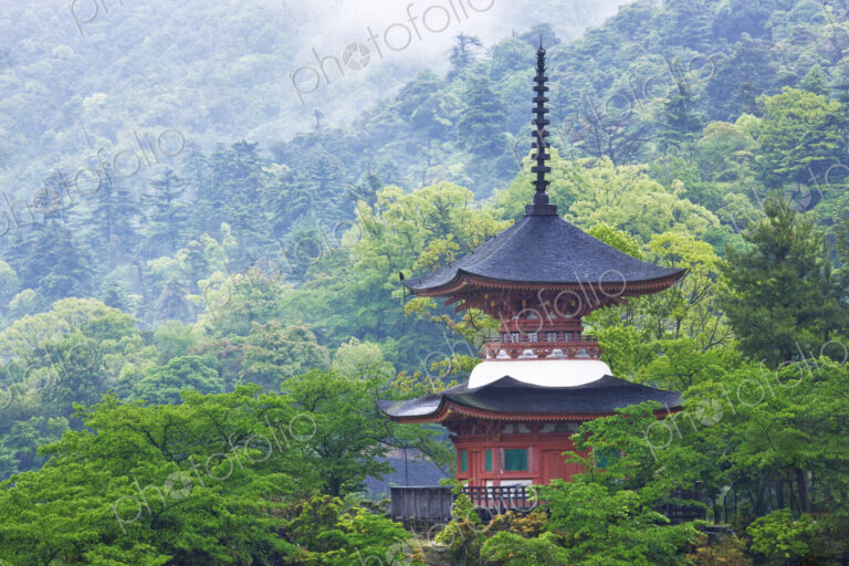 Top of a Pagoda