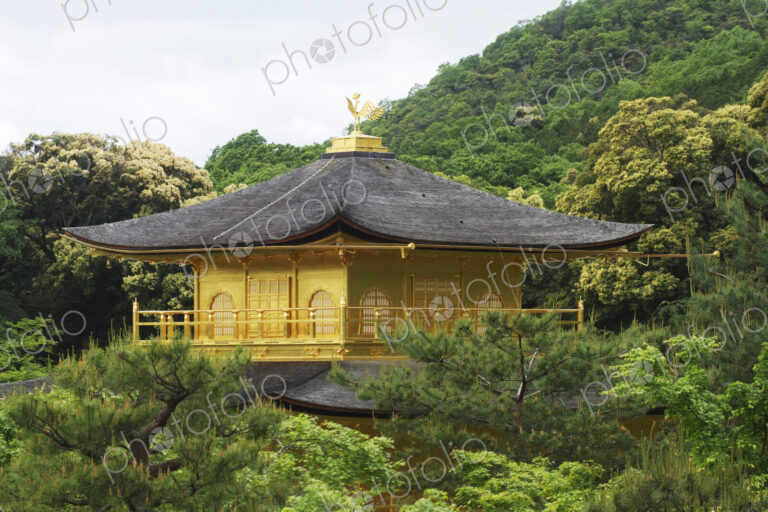 Top of a Pagoda