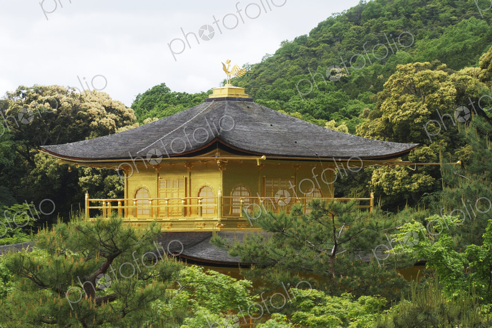 Top of a Pagoda