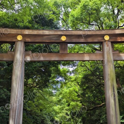 Torii Gate at the entrance to the Meiji Jingu Shrine, Tokyo, Japan Torii Gate at the entrance to the Meiji Jingu Shrine, Tokyo, Japan