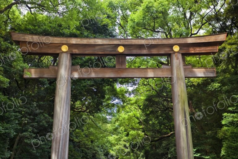Torii Gate at the entrance to the Meiji Jingu Shrine, Tokyo, Japan