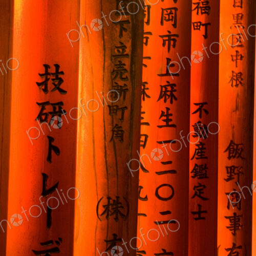 Torii gates, Fushimi Inari Shrine, Kyoto, Honshu, Japan
