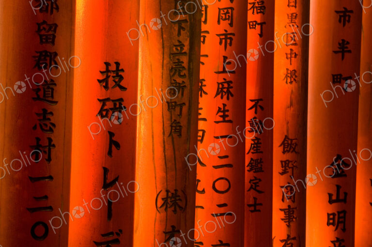 Torii gates, Fushimi Inari Shrine, Kyoto, Honshu, Japan