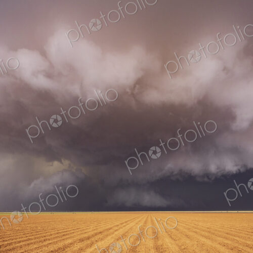 Tornado-Producing Supercell, clouds gathering above a cornfield, dark shapes on the…