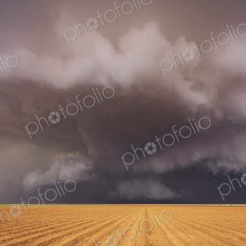 Tornado-Producing Supercell, clouds gathering above a cornfield, dark shapes on the…