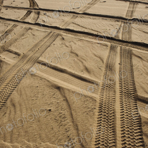 Tracks in . Sand Tracks in . Sand